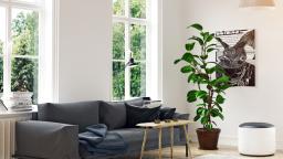 서울 중구 호텔