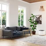 휴양지같은 편안한 인테리어